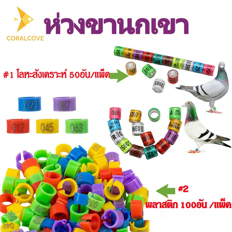 coralcoveshop ห่วงขานกเขา นกพิราบ ขนาด 8mm 100อัน พลาสติก แหวนทำสัญลักนกเขา