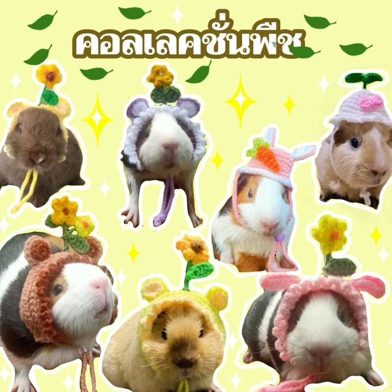 หมวกแกสบี้ แพรี่ด็อก กระต่ายแคระ🦫🐹🐇