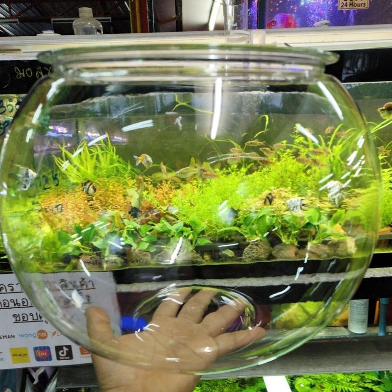 โหลเลี้ยงปลาพลาสติก ตกไม่แตก YG 300 ใสมาก ขนาดใหญ่