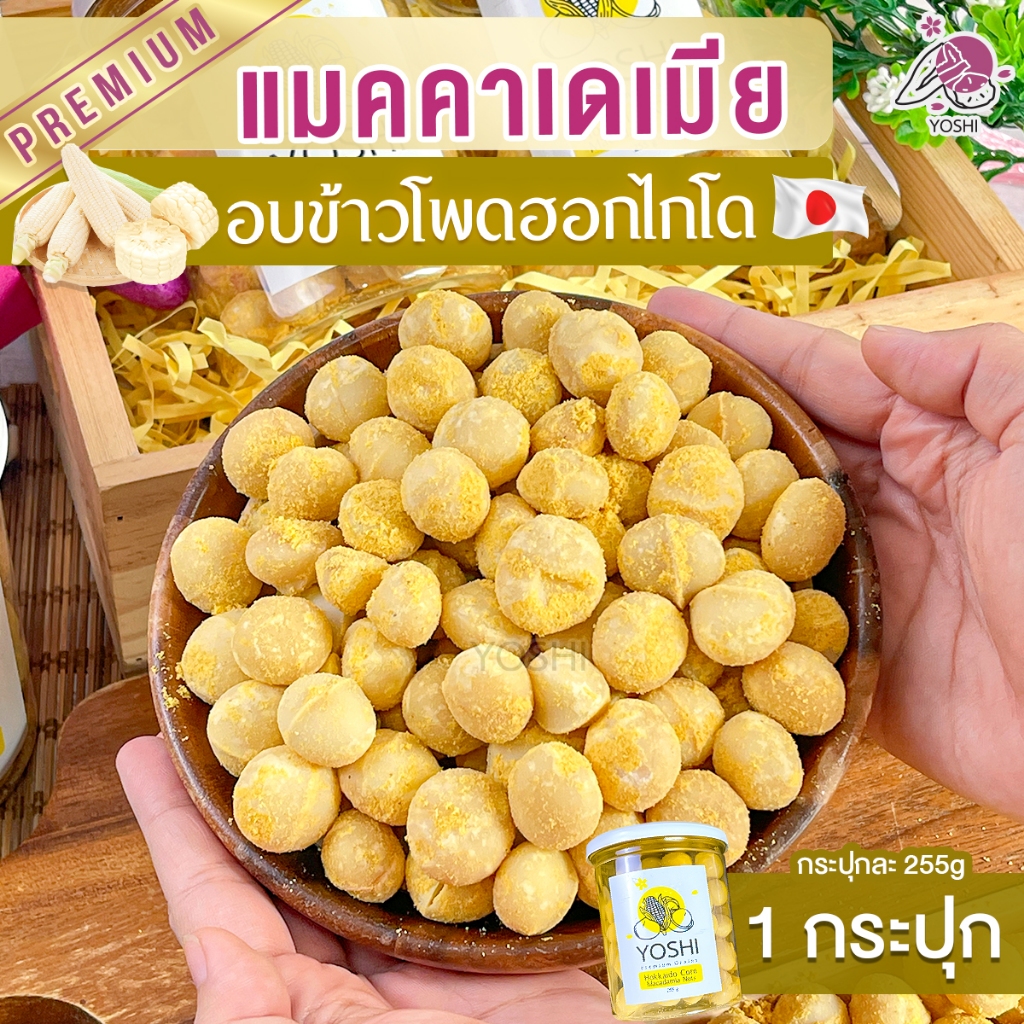 แมคคาเดเมีย รสข้าวโพดฮอกไกโด 1 กระปุก ถั่ว Hokkaido Corn แมคคาเดเมียอบ