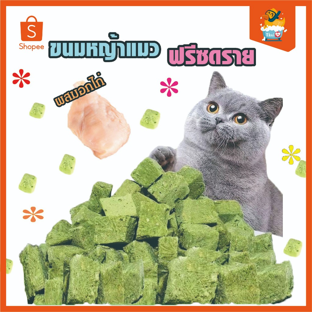 Thai.th ขนมหญ้าแมว ฟรีซดราย ผลิตจากต้นอ่อนข้าวสาลี ช่วยขัดฟัน Catnip
