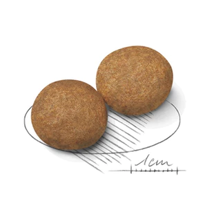 [PETClub] Royal Canin Medium Adult - สุนัขโต พันธุ์กลาง [4kg.]
