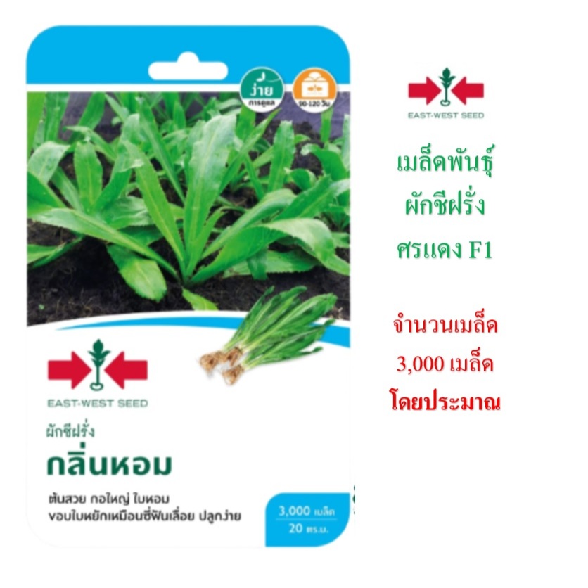 5 แถม 1 คละได้ทั้งร้าน เมล็ดพันธุ์ ผักชีฝรั่ง กลิ่นหอม F1 ตราศรแดง บรรจุ 3,000 เมล็ดโดยประมาณ