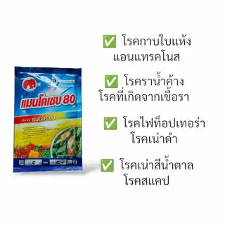 แมนโคเซบ 80%WP ขนาด 100g. 500g. 1kg. แมนโคเซ็บ แมนโคเซ็ป โรคแอนแทรคโนส ราน้ำค้าง โรคเน่าดำ ใบจุดสนิม
