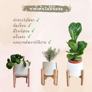 กระถางเบลล่า พร้อมขาตั้งไม้สยา เซตกระถางพร้อมขาตั้ง มินิมอล สีขาว ขนาด 5 7 9 นิ้ว ราคาถูก