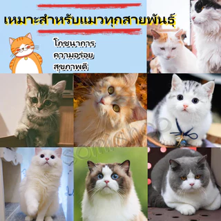 [โซเดียมต่ำ] ขนมแมวเลีย​ ขนาด ขนมแมว 15 กรัม (แพ็ค 50 ซอง)