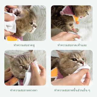 [80 เม็ด/แพ็ค] ผ้าเช็ดทำความสะอาดสัตว์เลี้ยง ผ้าเช็ดแมว ผ้าเช็ดสุนัข ผ้าเช็ดทำความสะอาด ผ้าเช็ดกำจัดกลิ่นและฆ่าเชื้อ