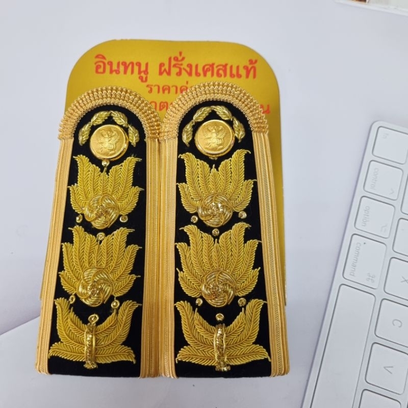 อินทนูดิ้นฝรั่งเศสช่อชัยพฤกษ์ชำนาญการ/ชำนาญการพิเศษ