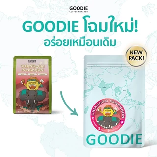 Goodie Coffee Roaster เมล็ดกาแฟ Chiang Rai Pangkhon