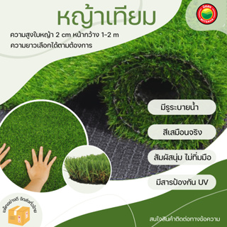 หญ้าเทียม Aritificial Grass หญ้าสูง 2 cm แบ่งขายเป็นเมตร ปลอม ปอม พื้น ดิน สวน บ้าน หนา นุ่มนิ่ม เกรดเอ เหมือนจริง มิตสห