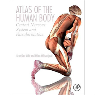 หนังสือ Atlas of the Human Body Central Nervous System กายวิภาคศาสตร์ anatomy netter ประสาทวิทยา neurology neuroanatomy