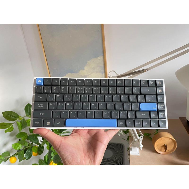 Keyboard low profile Gconic A75 มือสองสภาพดี