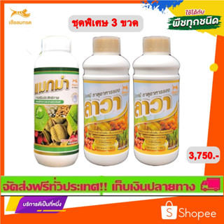 แมกม่า-ลาวา(ชุดพิเศษ 3 ขวด)ขวดละ 1 ลิตร สารจับใบเร่งการดูดซึมเร็วและปุ๋ยน้ำลาวาเร่งการเจริญเติบโตทุกส่วนของพืช