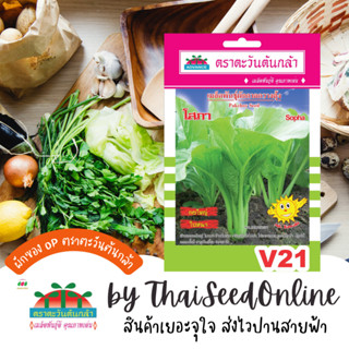 ADV ซฟ เมล็ดพันธุ์ ผักกาดกวางตุ้งโสภา ตราตะวันต้นกล้า V21