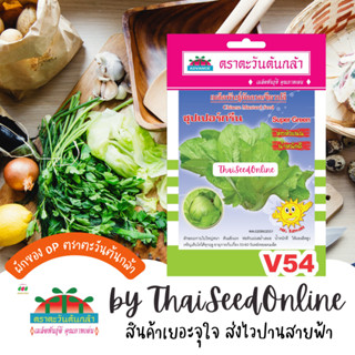 ADV ซฟ เมล็ดพันธุ์ เขียวปลี ซุปเปอร์กรีน ตราตะวันต้นกล้า V54