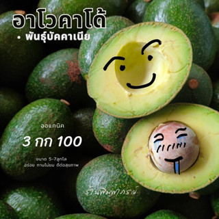 อาโวคาโด้สายพันธุ์บัคคาเนียร์ 3 กก.100บาท