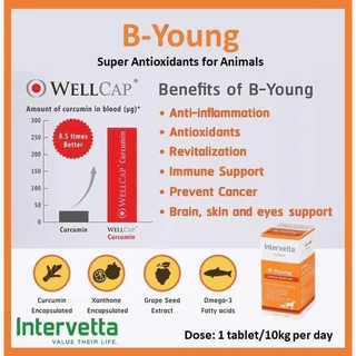Dr. Choice B-Young 🔥Exp.5/2028 Intervetta บำรุงระบบประสาท ชะลอวัย สุนัข แมว Complete senior care supplement dog cat