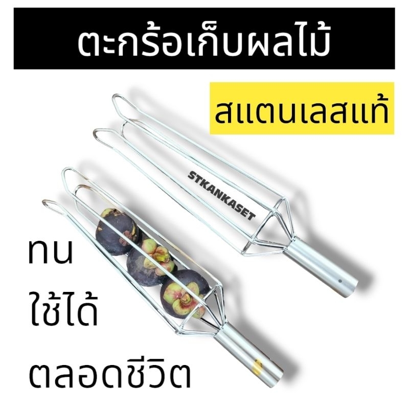 ตะกร้อเก็บผลไม้ ตระกร้อสอยมังคุด สแตนเลส  หัวสอยมังคุด หัวสอยผลไม้ ทำจากสแตนเลส คงทน แข็งแรง สามารถต่อกับด้ามได้