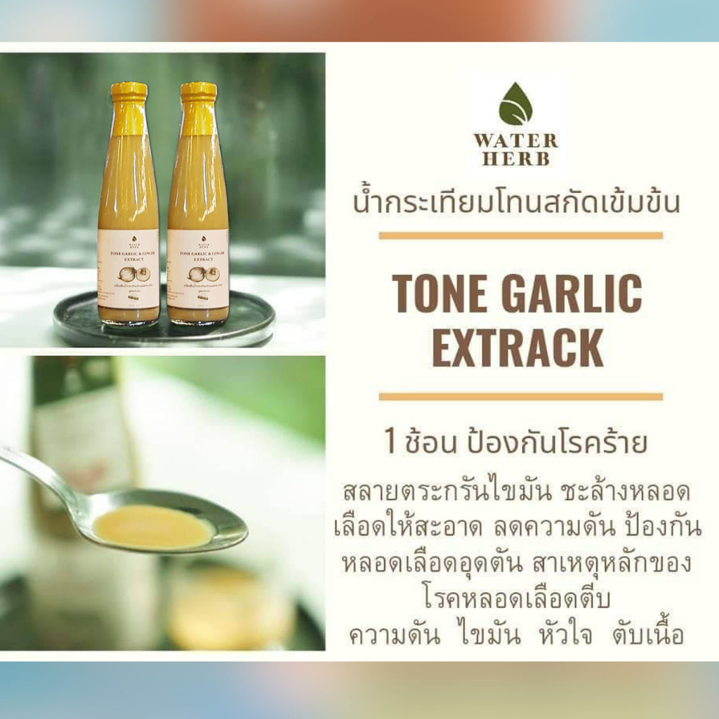 น้ำกระเทียมโทน สกัดเข้มข้น (WATERHERB) น้ำกระเทียมโทน ขิง มะนาว น้ำแอปเปิ้ลไซเดอร์ น้ำผึ้ง /ชุด 2ขวด - รูปที่ 7