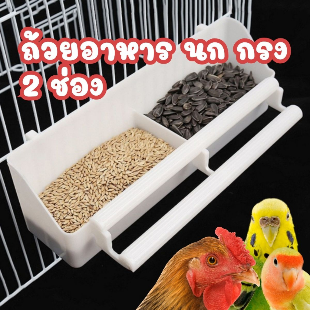 พร้อมส่ง จากไทย 🇹🇭 ถ้วยให้อาหาร ถ้วยอาหาร นก ไก่ ติดกรง ใส่กรง รางอาหารนก ชามอาหารนก ไก่ 2ช่อง ติดกรง ที่ใส่อาหาร