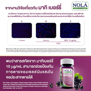 NOLÁ Superfoods มากิเบอร์รี่ 30 V-caps ปกป้องดวงตา แบรนด์ โนล่า ซุปเปอร์ฟู้ดส์ freeze dried Maqui berry