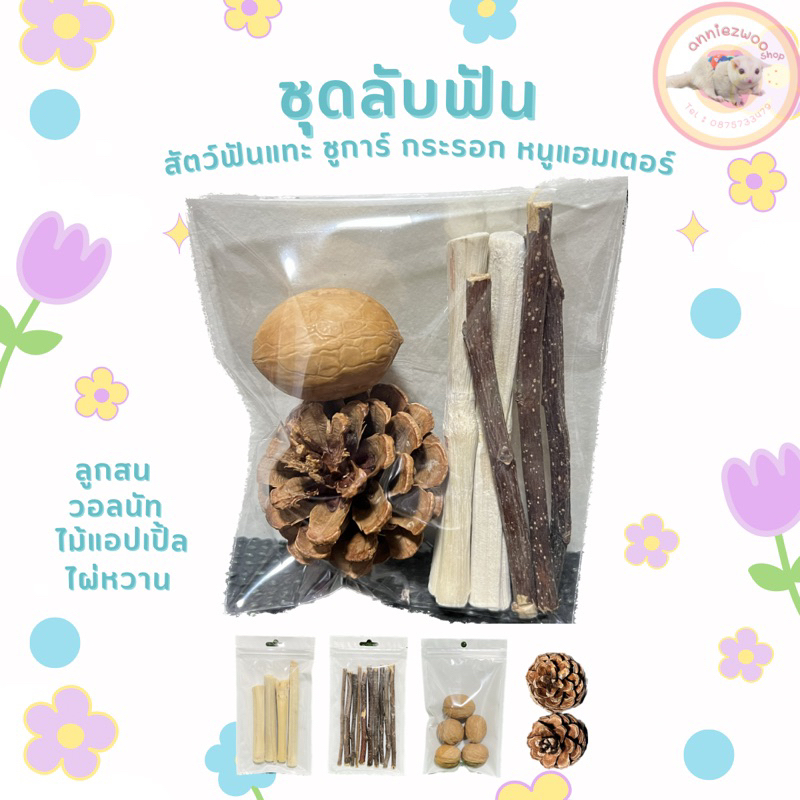 ชุดลับฟัน ของเล่นลับฟัน สัตว์ฟันแทะ ชูการ์ไกรเดอร์ กระรอก หนูแฮมเตอร์ กระต่าย ไม้แอปเปิ้ล ไผ่หวาน วอลนัท ลูกสน