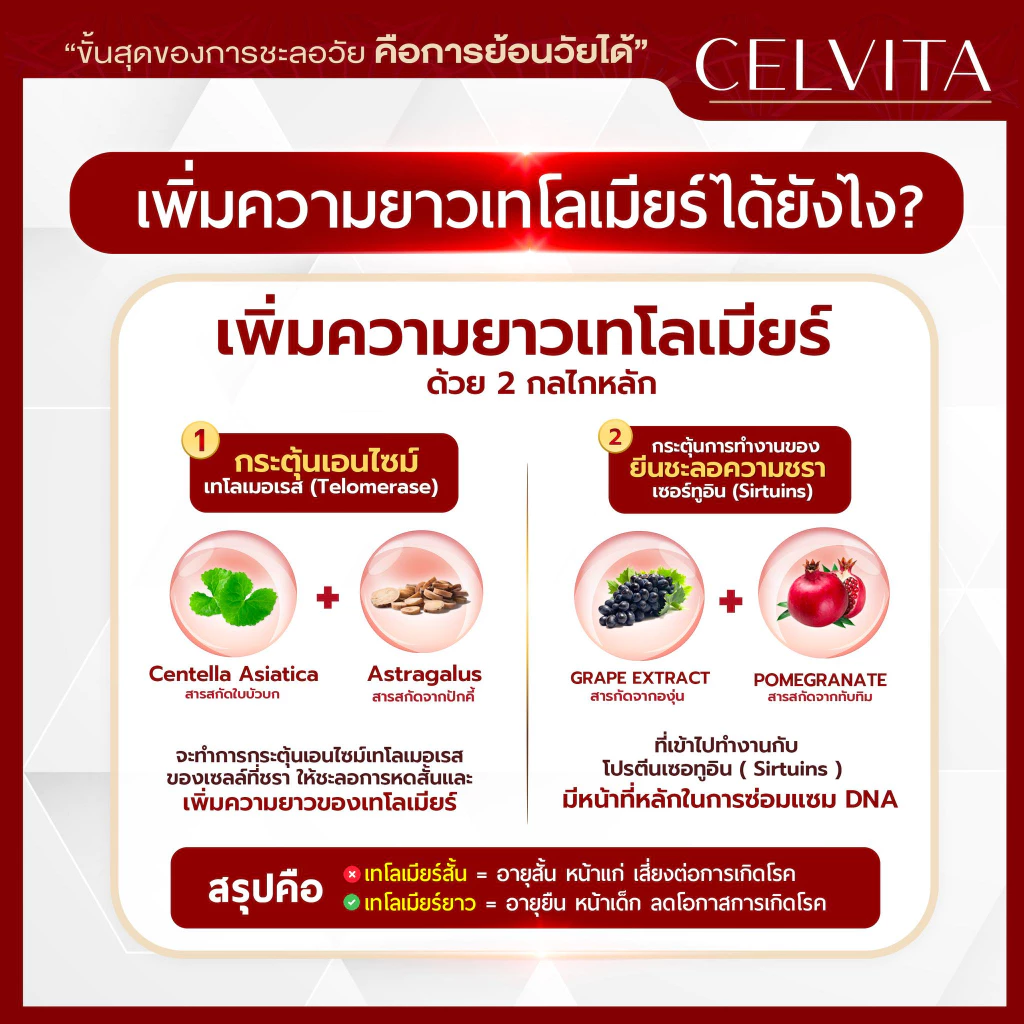 อาหารเสริมเพื่อสุขภาพ Celvita บำรุงร่างกาย ย้อนวัย ชะลอวัย thumbnail 9