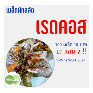 เมล็ดสลัด เรดคอส 100 เมล็ด 10 บาท งอกดีมีคู่มือในการปลูก