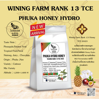 กาแฟพิเศษน่าน WINING FARM เมล็ดกาแฟคั่วPHUKA HYDRO HONEY RANK 13 TCE คั่วอ่อน LIGHT ROAST สำหรับ Drip / Espresso