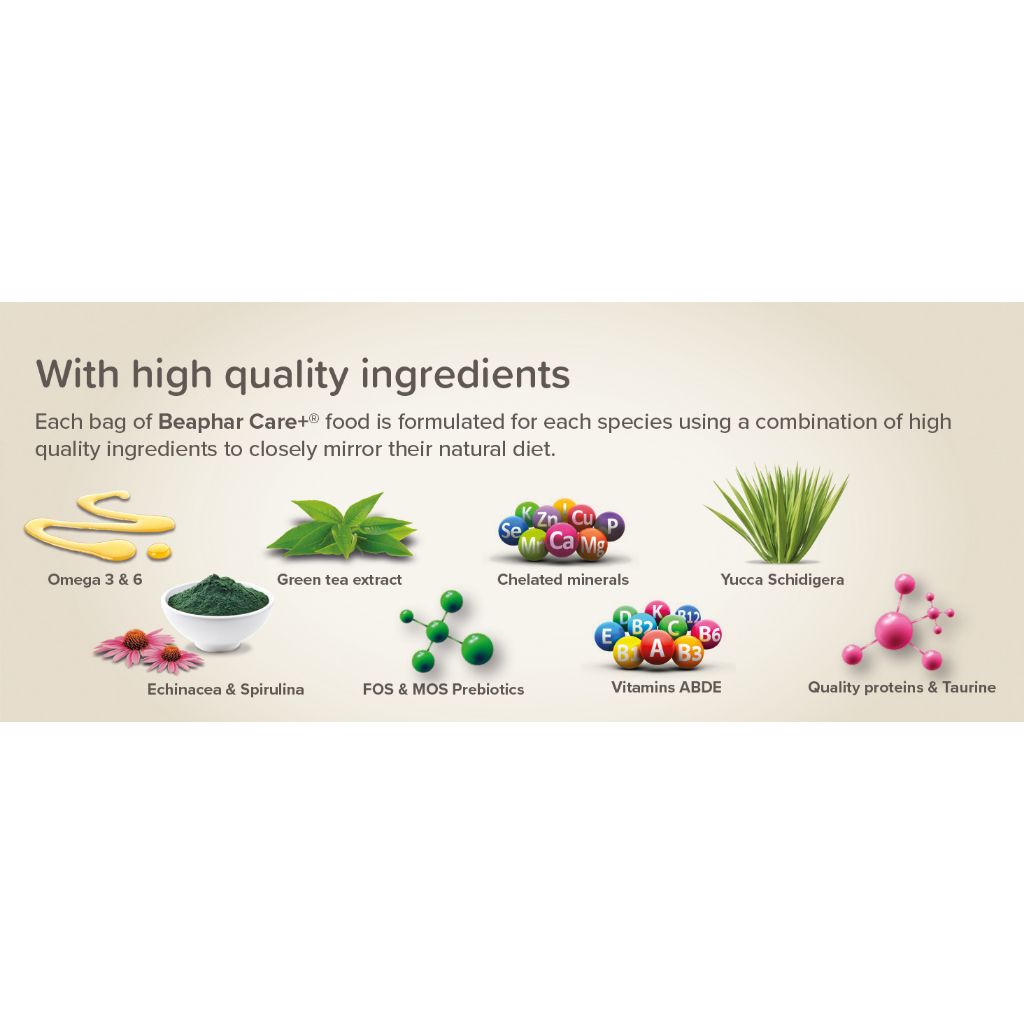 PROMO 1 แถม 1 Beaphar Care+ Hamster 700 g.+250 g. อาหารหนูแฮมสเตอร์ เกรดซุปเปอร์พรีเมี่ยม - รูปที่ 5