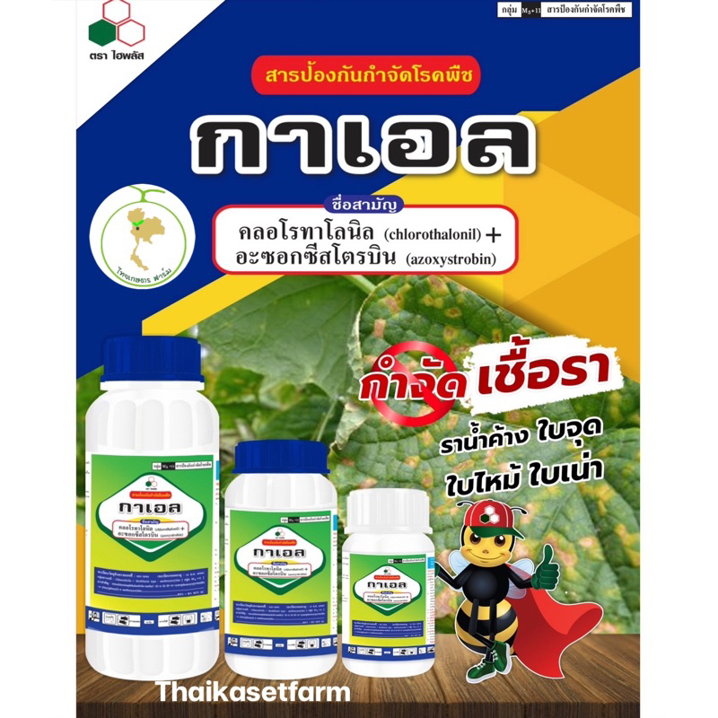 กาเอล ล้อตใหม่ล่าสุด สารป้องกันและกำจัดโรคเชื้อราพืชทุกชนิด ใบเหลือง ใบจุด ผลเน่า มีให้เลือก 2ขนาดสุดคุ้ม