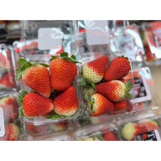 ยกถาด**Strawberry 🍓🇦🇺 สตรอว์เบอร์รี่นำเข้าจากประเทศออสเตรเลีย