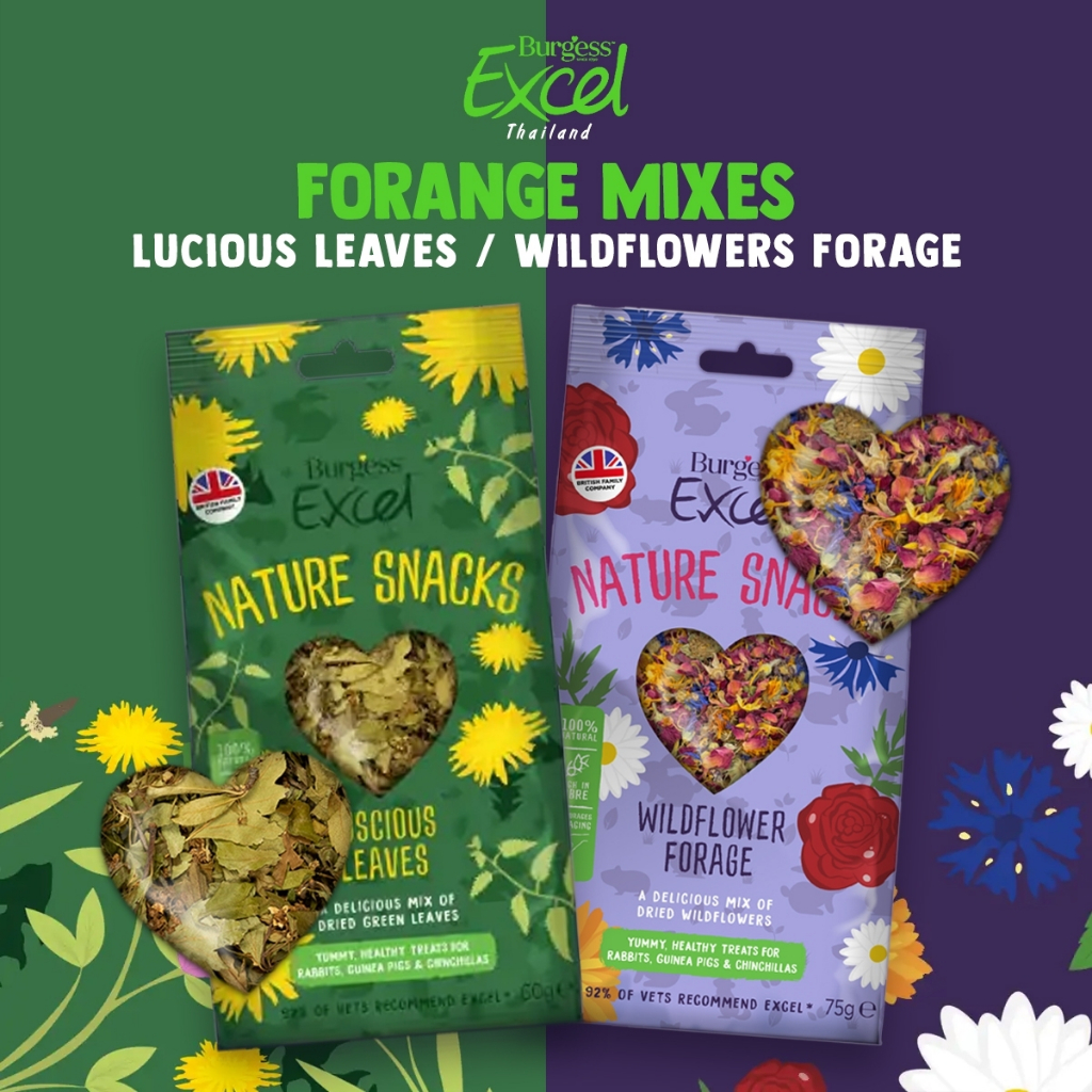 สมุนไพรเสริมอาหารกระต่ายและสัตว์ฟันแทะพรีเมี่ยม 🇬🇧 Burgess Excel Forage Mixes 75g | วิตามินสูง