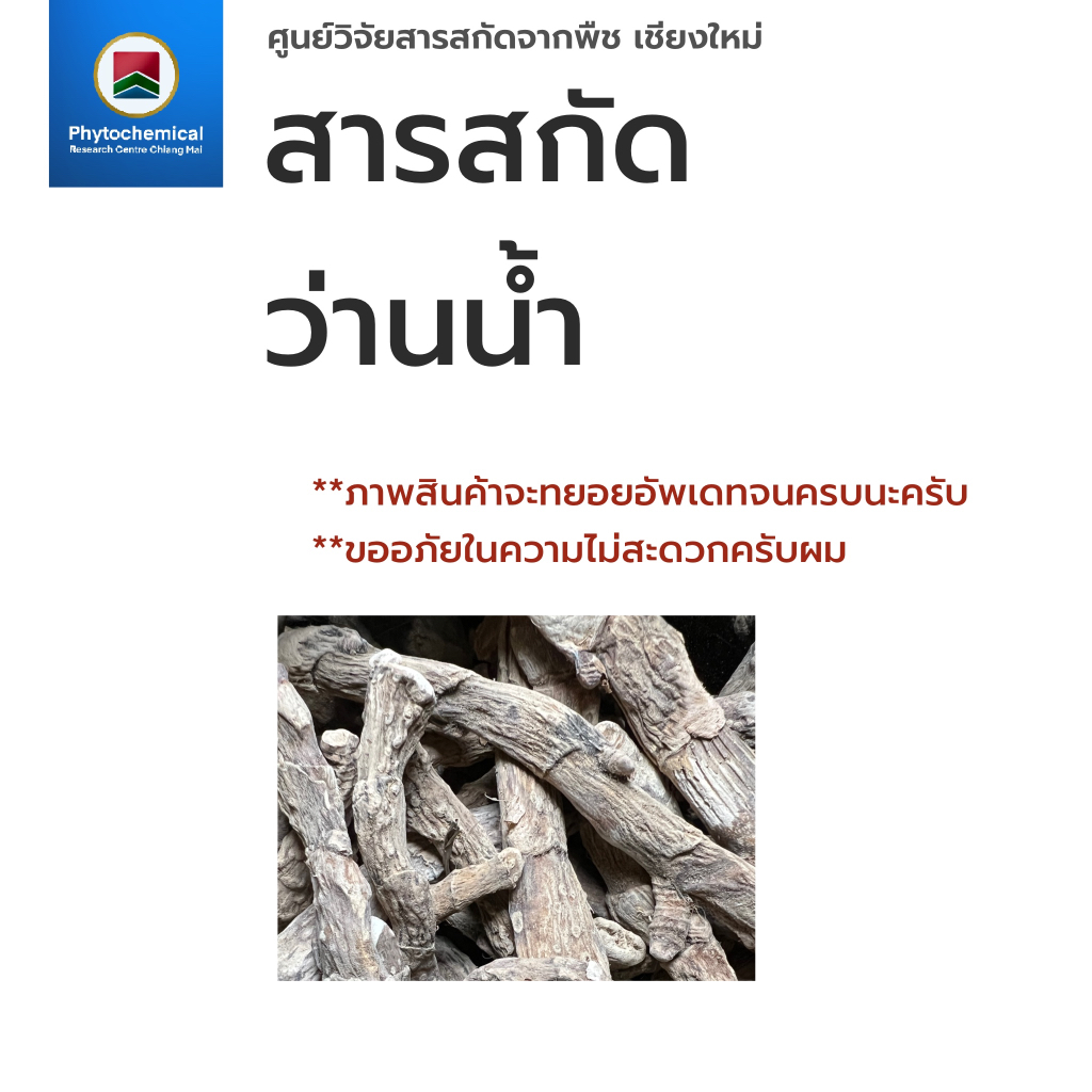 สารสกัดว่านน้ำ(แบบน้ำ) Mytle Grass root extract | สารสกัดจากพืช สารสกัดสมุนไพร 100% | เข้มข้นสูง 25-100 g.