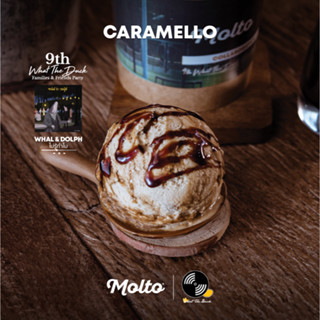 Caramello  (ไอศกรีม รสคาราเมล 1 ถ้วย 16 oz.) - Molto premium Gelato