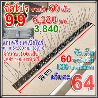 จัดโปร 9.9 หนามกันนก เข็มสเตนเลส ฐานสเตนเลส เกรดพรีเมี่ยม 60 เส้น (ประกอบเสร็จมาจากโรงงาน พร้อมใช้งาน เข็มแน่นไม่โยกเยก)