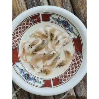 กุ้งฝอยสดแช่แข็ง HOSHI 1-3 แพ็ค แถมฟรีถุงเจลน้ำแข็ง !! อาหารปลาและสัตว์น้ำสวยงามทุกชนิดข