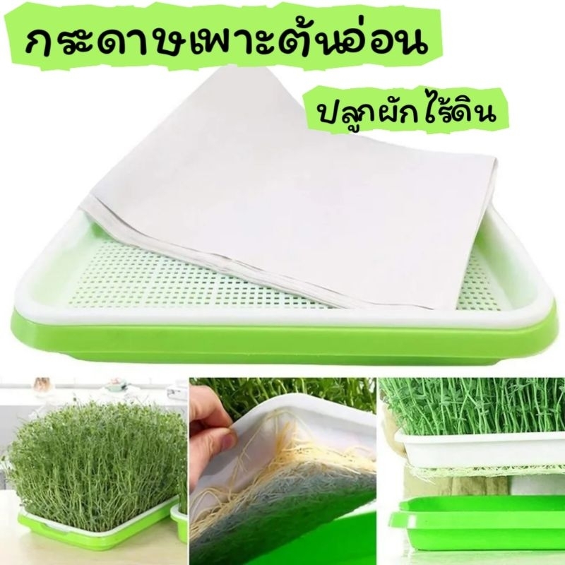 กระดาษปลูกผักไร้ดิน​ กระดาษเพาะต้นอ่อน​
