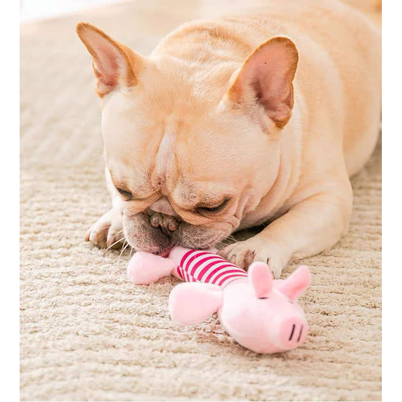 [พร้อมส่ง]ของเล่น ของเล่นสุนัข ของเล่นหมา ตุ๊กตาสุนัขกัดแล้วมีเสียง ตุ๊กตาสุนัขของเล่นสุนัขมีเสียง ตุ๊กตาสุนัขแมวB5