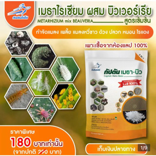 เชื้อราบิวเวอร์เรีย + เชื้อราเมธาไรเซียม แบบผง(500กรัม)  เพาะเชื้อจากห้อง LAB พร้อมใช้ ปลอดภัย 100 %