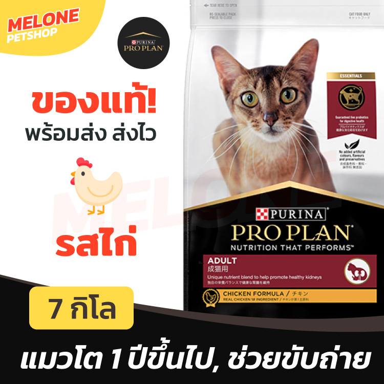 [หมดอายุ 12/2024] Purina Proplan อาหารแมว โปรแพลน แมว สูตร ไก่ สำหรับ แมวโต อายุ 1 ปี ขึ้นไป 7 kg
