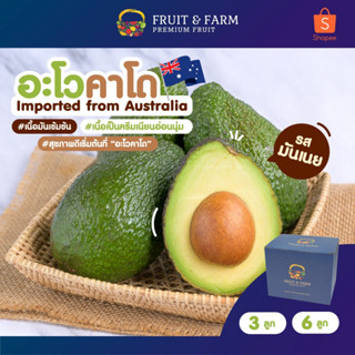 อโวคาโด (Avocado) นำเข้าจากออสเตรเลีย