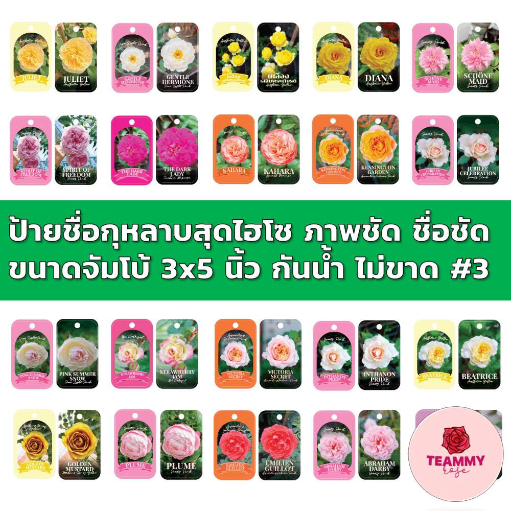 ป้ายชื่อกุหลาบสุดไฮโซ#3 ภาพชัด ชื่อชัด ขนาดจัมโบ้ 3x5 นิ้ว กันน้ำ กันแดด ไม่ขาด ผลิตจากแผ่น PP Sheet