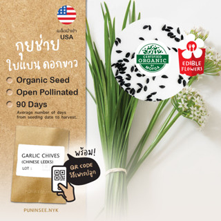 เมล็ดผักนำเข้า กุยช่าย Garlic Chives (Organic Seed) Chinese Leeks ดอกสีขาว ดอกไม้กินได้