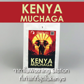 เมล็ดกาแฟ คั่ว กลาง อ่อน KENYA  1ในแหล่งเก่าแก่ที่สุดของเคนย่า MUCHAGARA