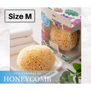 ฟองน้ำธรรมชาติ ชนิด Honeycomb ขนาด M สีเหลือง (FREE EMS!!)