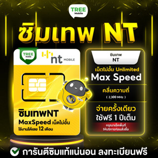 ซิมเทพ NT ❇️ เน็ตความเร็ว MaxSpeed ไม่อั้น ไม่ลด Speed ฟรี ซิมเน็ตรายปี ซิมเทพ ใช้งาน 1 ปี ร้าน TreeMobile Tree Mobile