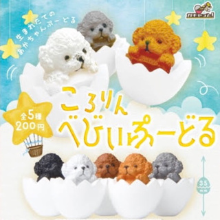 [Gashapon] กาชาปอง โมเดล Bright Link คอลเลคชั่น Kororin Baby Poodle น้องหมาในไข่ *เลือกลายได้*