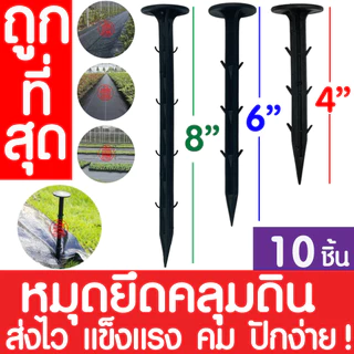 *ค่าส่งถูก* คลุมวัชพืช (แบ่งขาย) 6-8ปี กำจัดหญ้า พลาสติกคลุมดิน พลาสติกคลุมวัชพืช ผ้าคลุมดิน ฆ่าหญ้า ฆ่าวัชพืช หมุดปัก