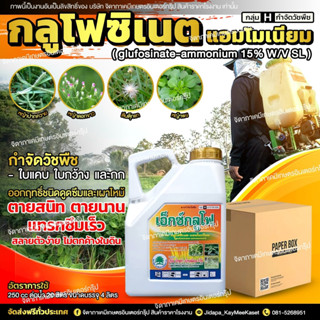 (ยกลัง6 แกลอน )เอ็กซ์กลูโฟ กลูโฟซิเนต-แอมโมเนียม15%  แกลอนสีขาวของแท้100% กำจัดวัชพืชใบแคบ ใบกว้าง กก 4 ลิตร